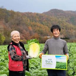 [세작골농원] 세작골 절임임배추 20kg