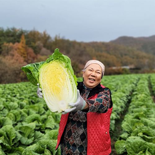 괴산장터 상품입니다