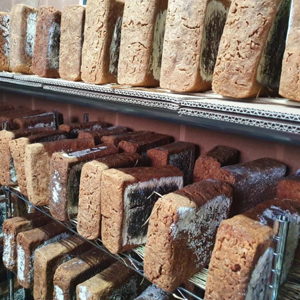 [예약][옹다맛]전통 시골메주+대추+고추+숯+레시피