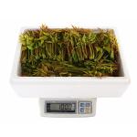 [사전예약] 산지직송 무농약 옻순 1kg_1