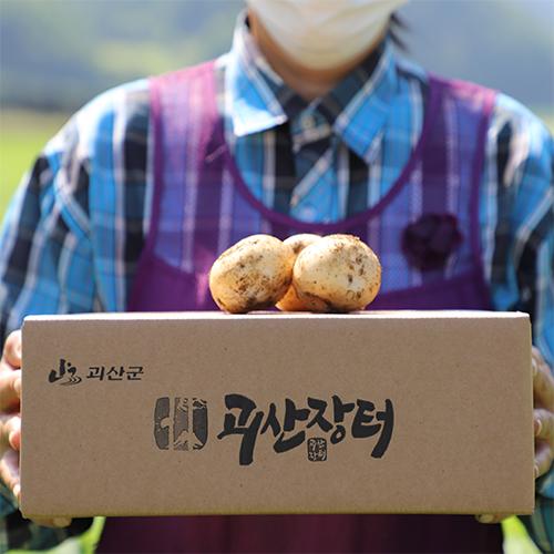 [사전예약][가래울농장] 노지 햇감자 수미(3kg/5kg/10kg)