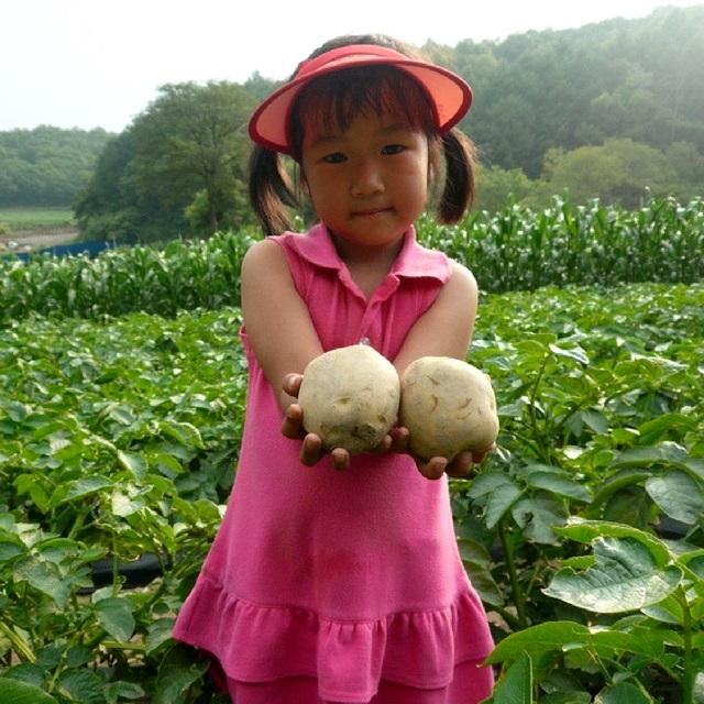 괴산장터 상품입니다