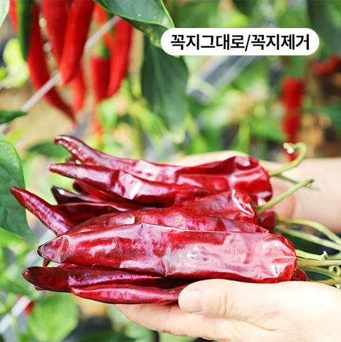 [양달농장][2025] 괴산청결건고추(6kg)