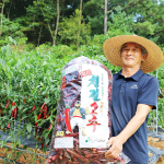[양달농장][2025] 괴산청결건고추(3kg, 6kg)_1