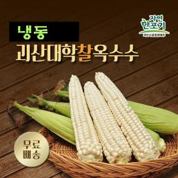 [자연한포기] 괴산 삶은 대학찰옥수수 (냉동/특품17CM내외)