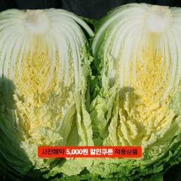 [2025년 절임배추 사전예약][가령산농장]괴산절임배추 (20kg기준)