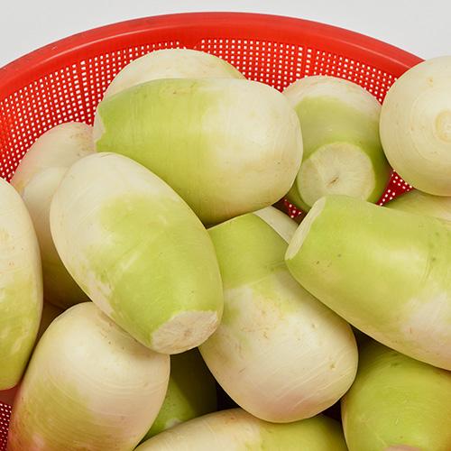 [2025년사전예약][청천장터] 세척된 김장 무 5개