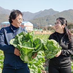 [예약][가시버시농원] 연풍댁 시골절임배추 (20kg기준)