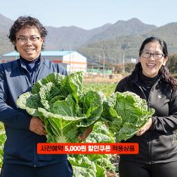 [2025사전예약][가시버시농원] 시골절임배추 (20KG)