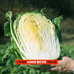[2025사전예약][하둥이네농장]괴산절임배추 (10-20kg)