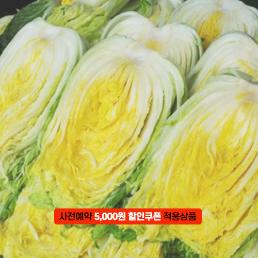 [2025사전예약][둔율올갱이영농조합법인]괴산절임배추 (10-20kg)