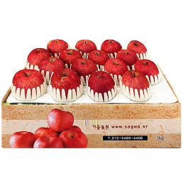 [가을농원] 부사사과 5KG (선물용)