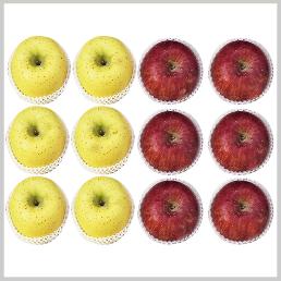 [가을농원] 반반사과 (부사+시나노골드)