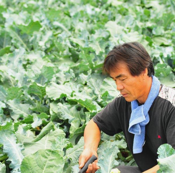 괴산장터 상품입니다