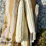 [2026사전예약] 울엄마농장의 괴산대학찰옥수수 (30개/60개)