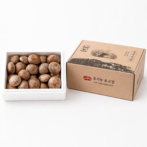 [유기농표고맘]유기농 생표고버섯 1KG (중품/선물용)