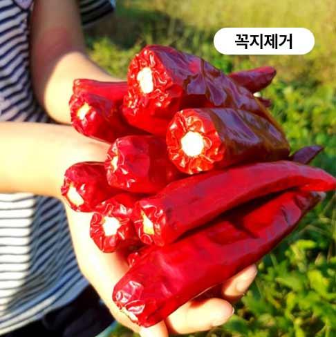 [2026햇고추] 괴산젊은의 고추맛집 햇 건고추 (3-6KG/저온건조)