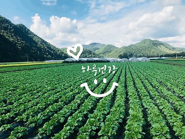 괴산장터 상품입니다