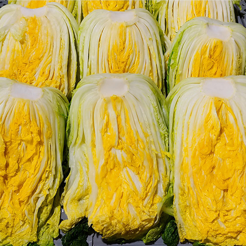 [2025사전예약][순정농원]괴산절임배추 (10- 20kg)_1