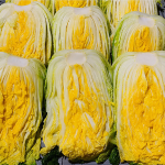 [2025사전예약][순정농원]괴산절임배추 (10- 20kg)_1