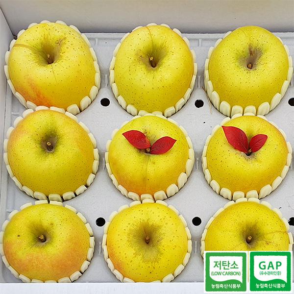[가을농원]황금사과 시나노골드 5kg (9-14과)
