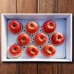 [가을농원] 2025 햇사과 부사 5kg