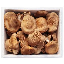 [유기농표고맘]유기농 생표고버섯 1.5kg (품질:육수용)