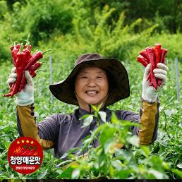 [2026햇고추] 초당농원의 청양건고추 (3-6KG)