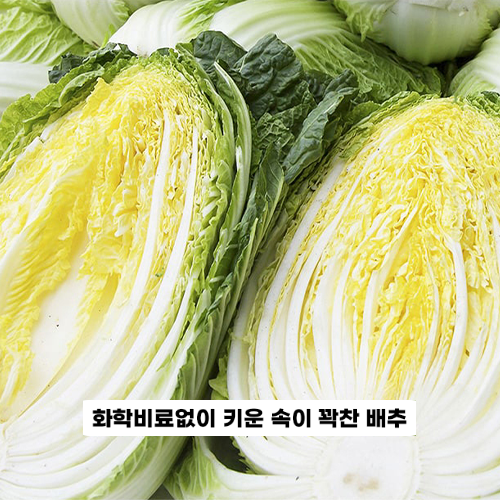 괴산장터 상품입니다