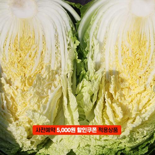 괴산장터 상품입니다