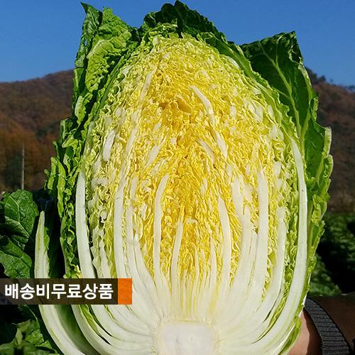 괴산장터 상품입니다