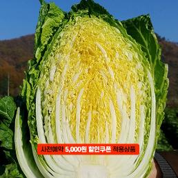 [2025사전예약][밥보다옥수수]청정 괴산절임배추(10~20kg)