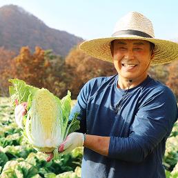[예약][햇터마을]6시내고향출연 프리미엄 괴산절임배추 (20kg 기준)