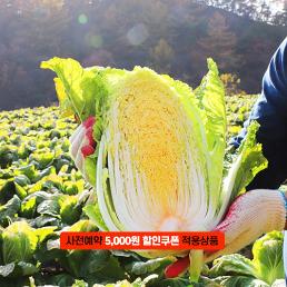 [2025사전예약][햇터마을]6시내고향출연 프리미엄 괴산절임배추 (20kg)