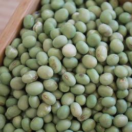 [곡물생활] 2021 국산 청태콩 500g