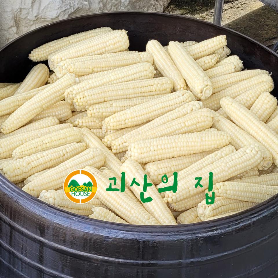 [2024옥수수][괴산의집]괴산대학찰옥수수 30개