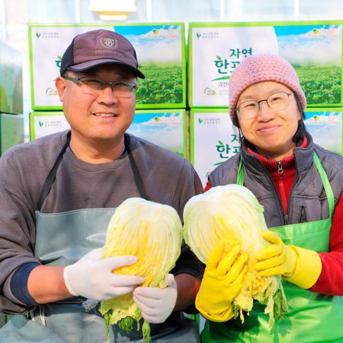 [2026사전예약] 괴산의집 짜지않은 이틀절임 괴절임배추 (10-20KG)