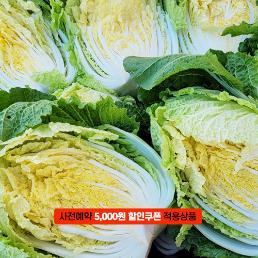 [2025사전예약][기석이네농산] 괴산절임배추 (20kg)