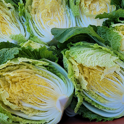 [2025년][기석이네농산] 괴산절임배추 (10kg, 20kg)