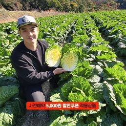 [2025사전예약][박가네삼남매농장]괴산절임배추 (10~20KG)