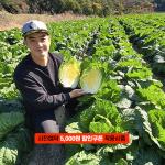 [2025사전예약][박가네삼남매농장]괴산절임배추 (10~20KG)