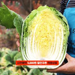 [2025사전예약][사계절농원]괴산절임배추(20kg)