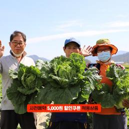 [2025사전예약][한가원] 괴산절임배추(20kg)