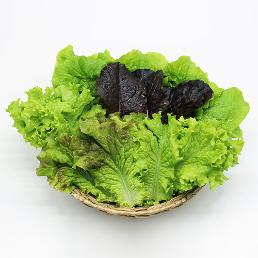 [프레쉬위드] 친환경 무농약 모둠상추 1kg