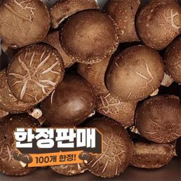 [회원할인판매][유기농표고맘]100개 한정! 유기농 생 표고버섯 1.8kg (품질:가정용)
