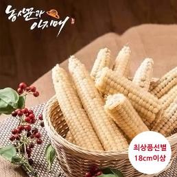 [농사꾼과아지매]생 냉동 15개 괴산대학찰옥수수/껍질벗김/아이스박스포장
