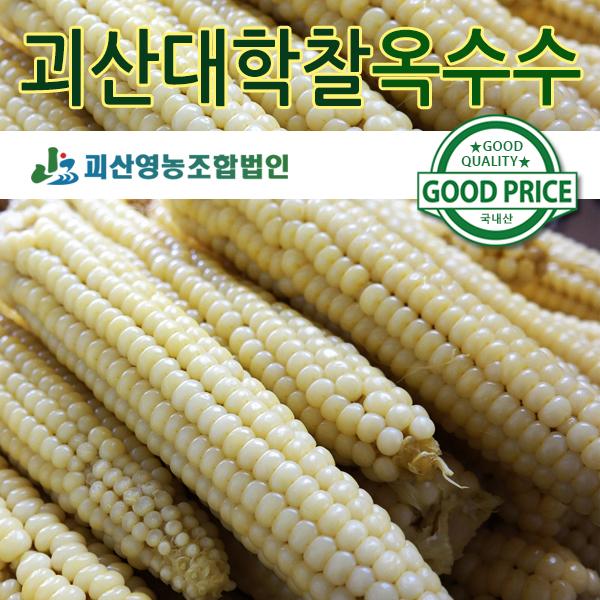 [7월10일전후출하] 생 괴산대학찰옥수수/껍질 없는 깐옥수수 선택주문_1
