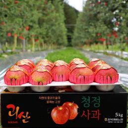 [스피노자농원]홍로사과 선물용 5kg
