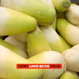 [2025사전예약][햇터마을]달달한 세척무 20kg