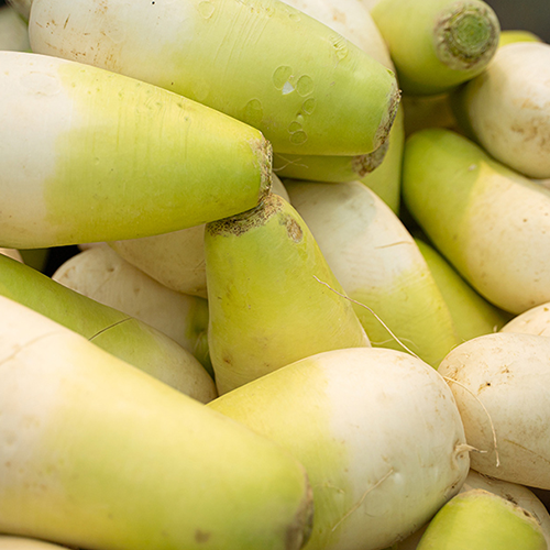 [2025사전예약][햇터마을]달달한 세척무 20kg